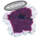 Петуния сорта